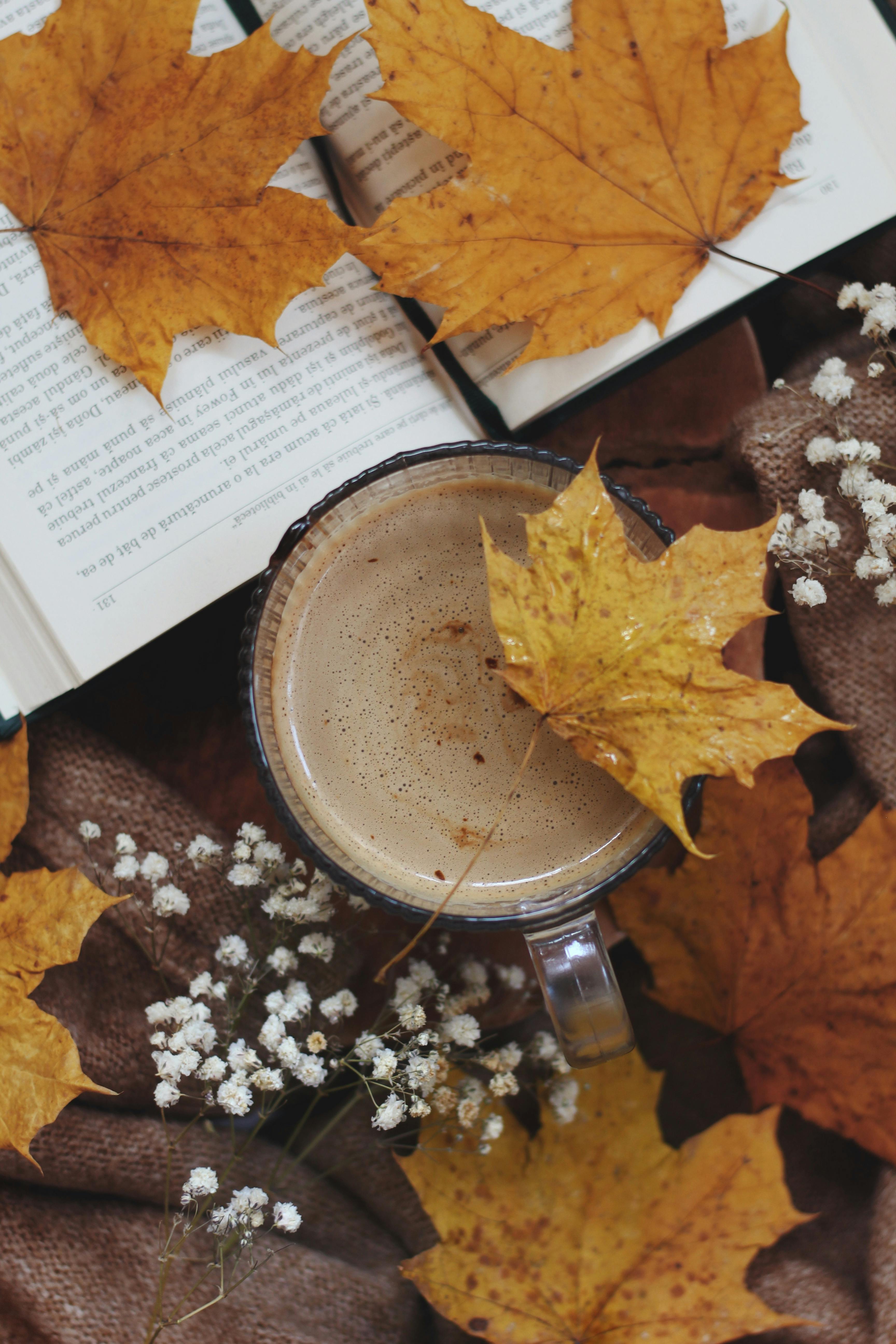 Romantic Fall: Cozy Habits to Make the Season Wondrous